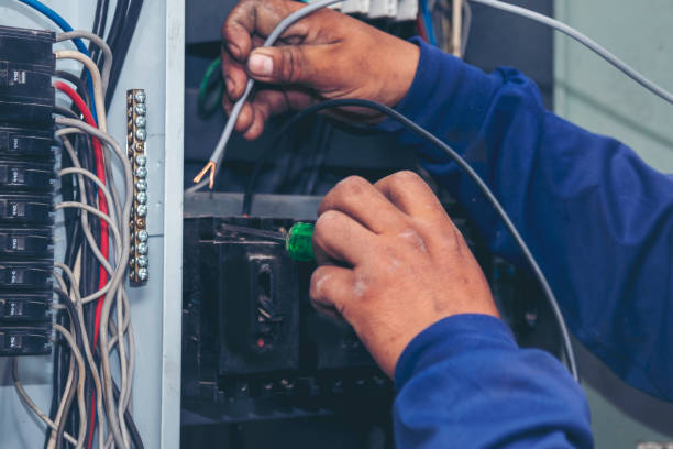 Best Generator Installation Services  in Badger, AK